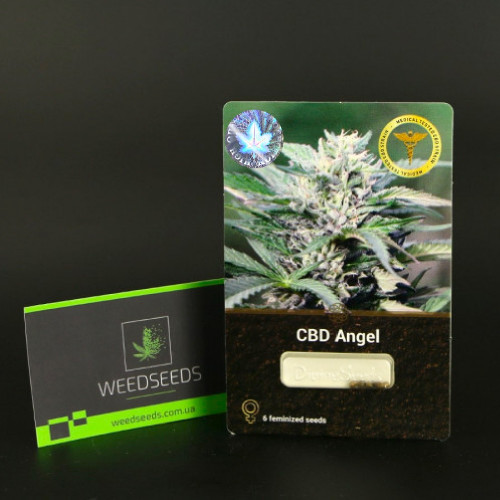 Семена медицинского каннабиса CBD Angel с доставкой Семена медицинского каннабиса CBD Angel с доставкой